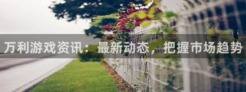 奇亿娱乐注册：万利游戏资讯：最新动态，把握市场趋势