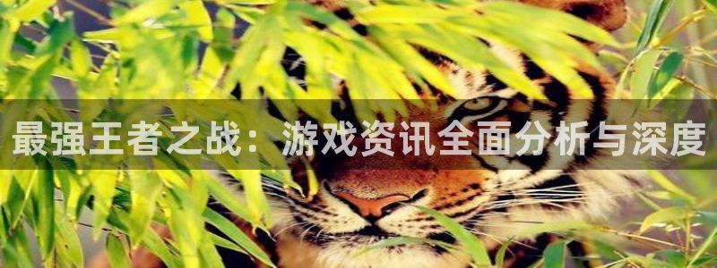 奇亿娱乐注册登录：最强王者之战：游戏资讯全面分析与深度