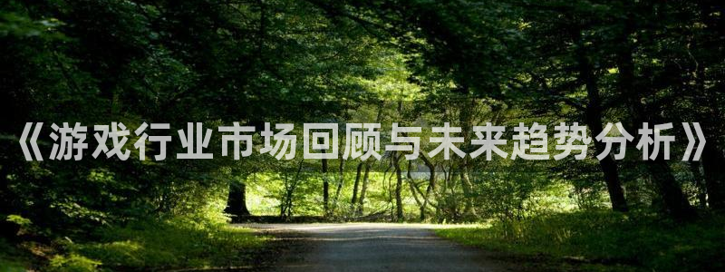 奇亿娱乐官方注册登录：《游戏行业市场回顾与未来趋势分析》