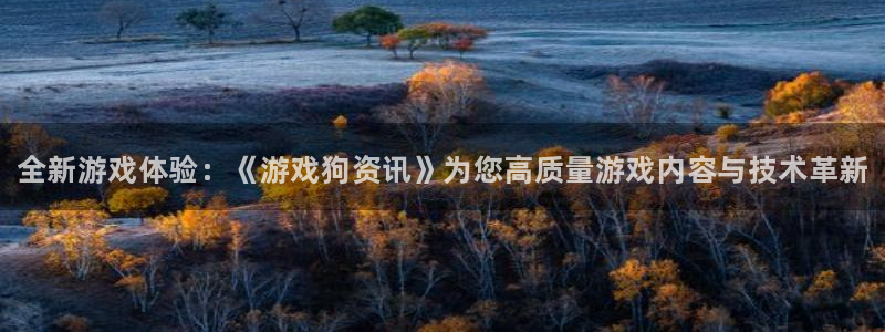 奇亿娱乐下载：全新游戏体验：《游戏狗资讯》为您高质量游戏内容