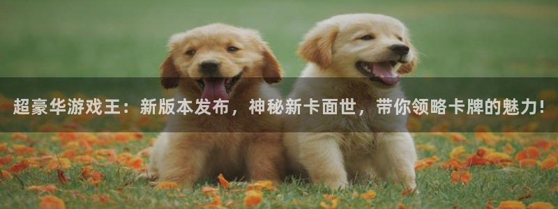 奇亿娱乐注册平台：超豪华游戏王：新版本发布，神秘新卡面世，带