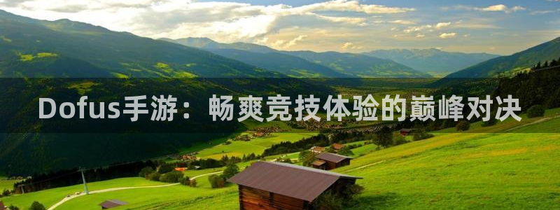奇亿娱乐注册：Dofus手游：畅爽竞技体验的巅峰对决