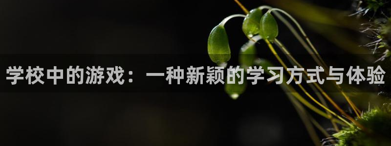 奇亿娱乐线路测试：学校中的游戏：一种新颖的学习方式与体验