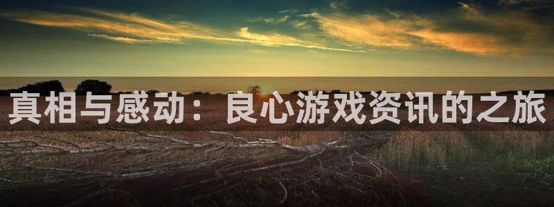 奇亿娱乐平台官网注册：真相与感动：良心游戏资讯的之旅
