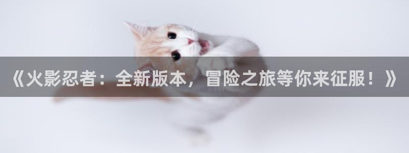 奇亿娱乐娱乐：《火影忍者：全新版本，冒险之旅等你来征服！》