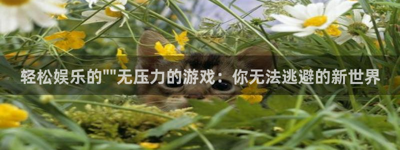 奇亿娱乐的意思：轻松娱乐的\